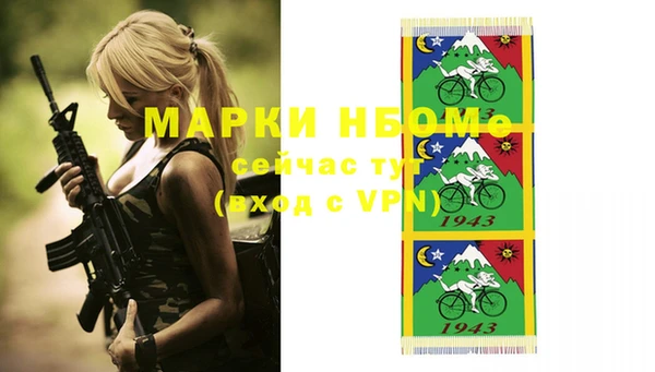 индика Белокуриха