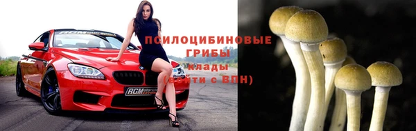 индика Белокуриха