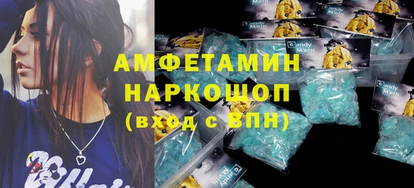 индика Белокуриха