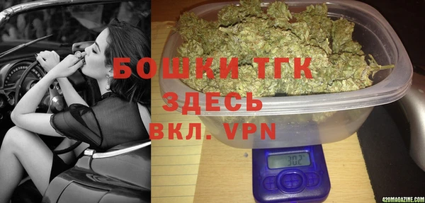 индика Белокуриха