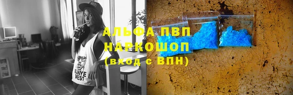 индика Белокуриха