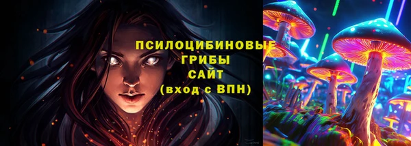 индика Белокуриха